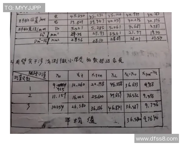 南京排球队个人能力分析与数据表现研究报告